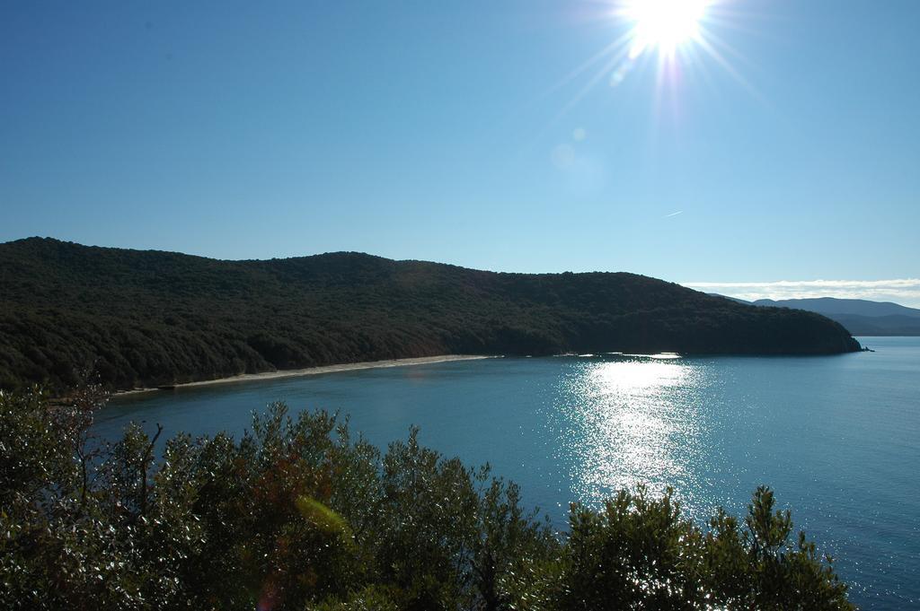 Agriturismo Le Piane Del Milia Suvereto Dış mekan fotoğraf