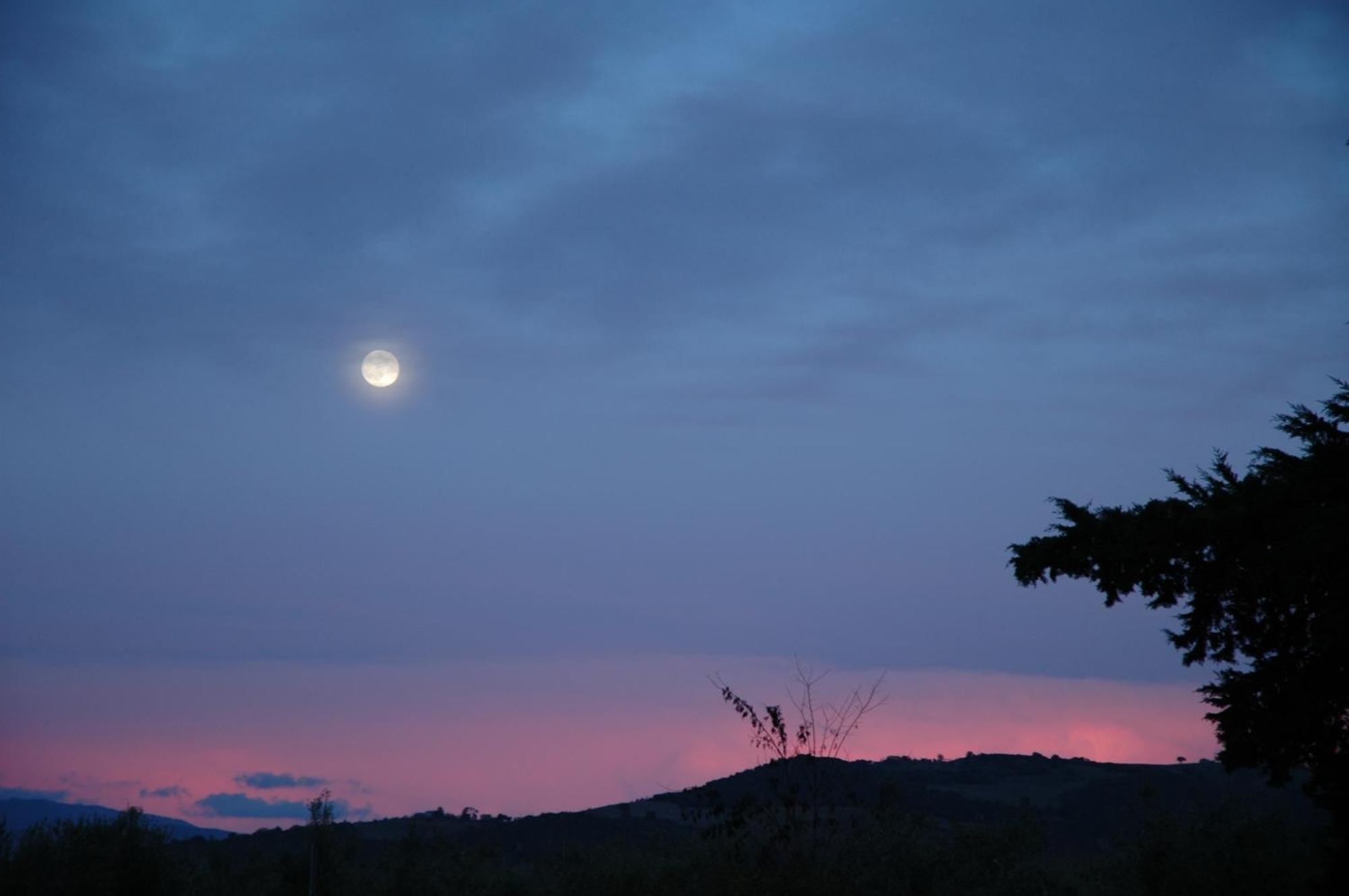 Agriturismo Le Piane Del Milia Suvereto Dış mekan fotoğraf