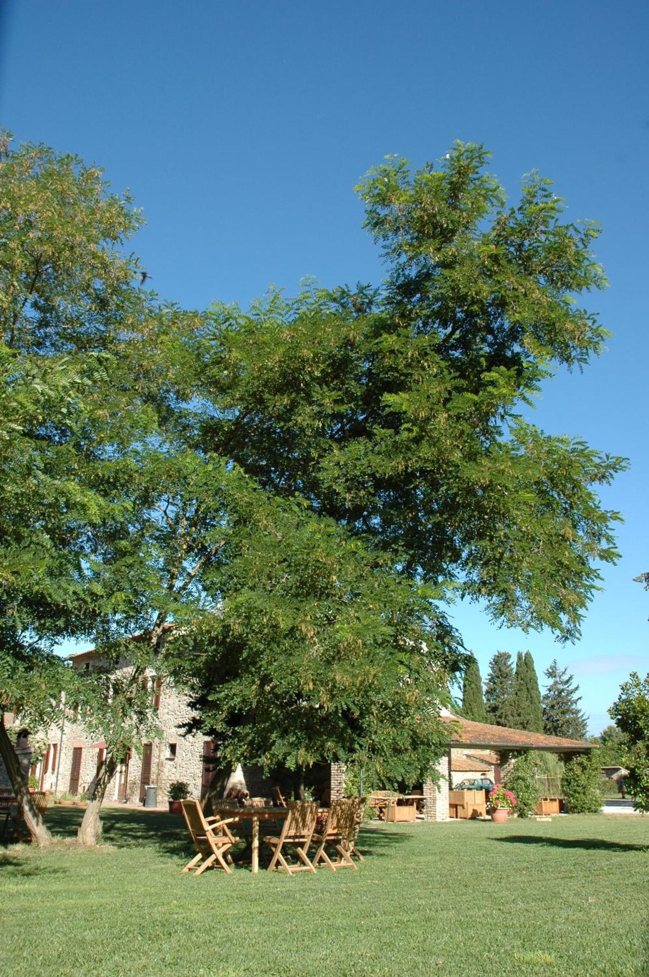 Agriturismo Le Piane Del Milia Suvereto Dış mekan fotoğraf